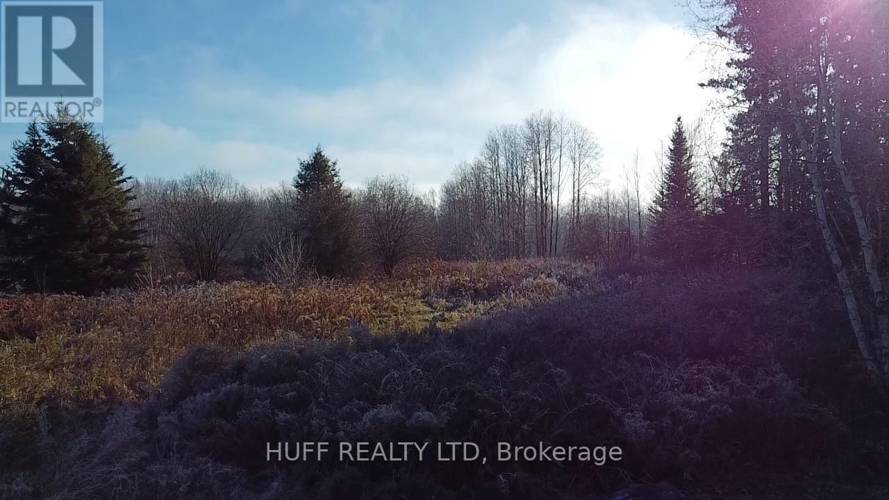 12 Hansuld Street, Englehart, Ontario P0J 1B0 - Photo 29 - T12496978