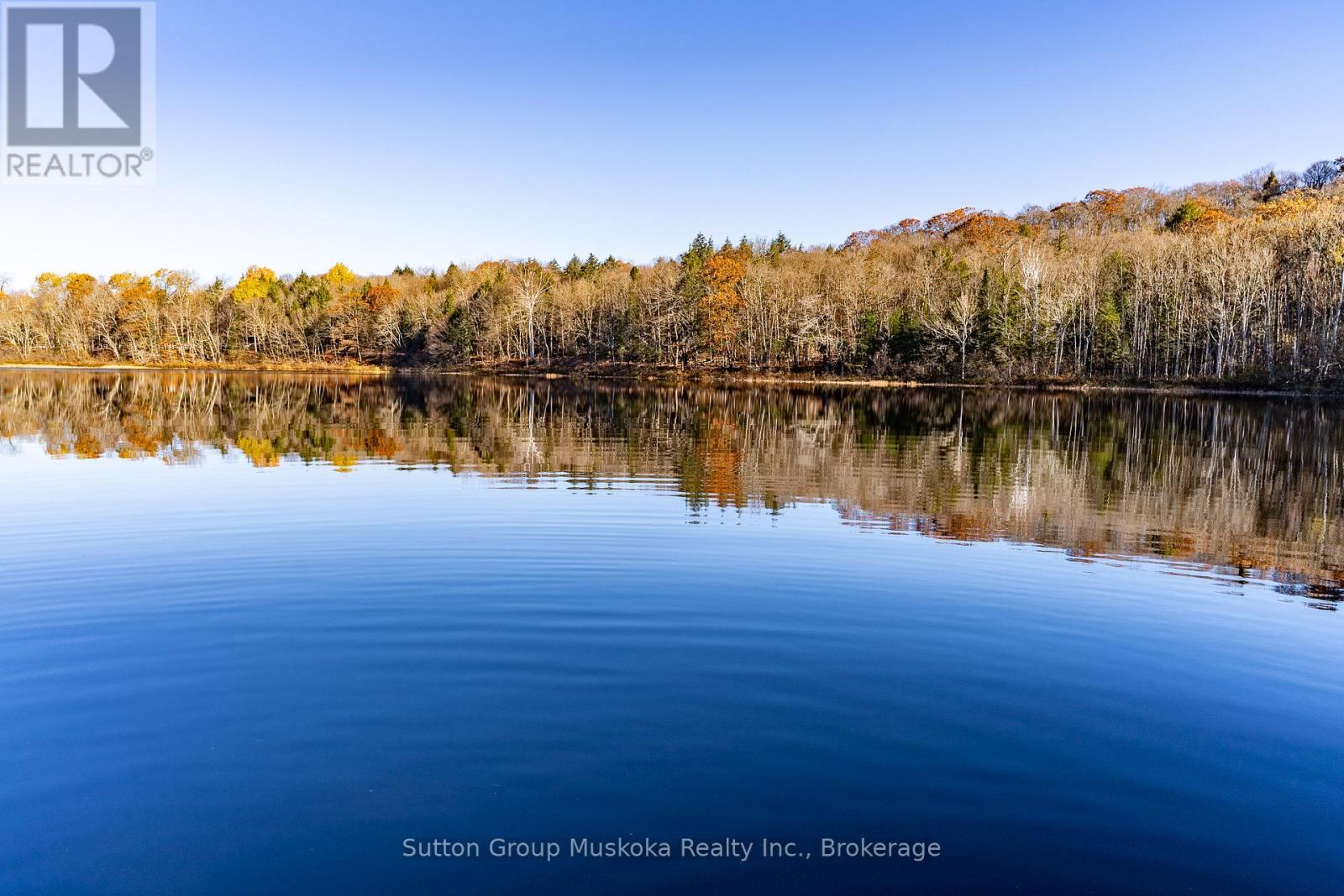 236 Hoodstown Road, Huntsville, Ontario  P1H 2J2 - Photo 16 - X12497082