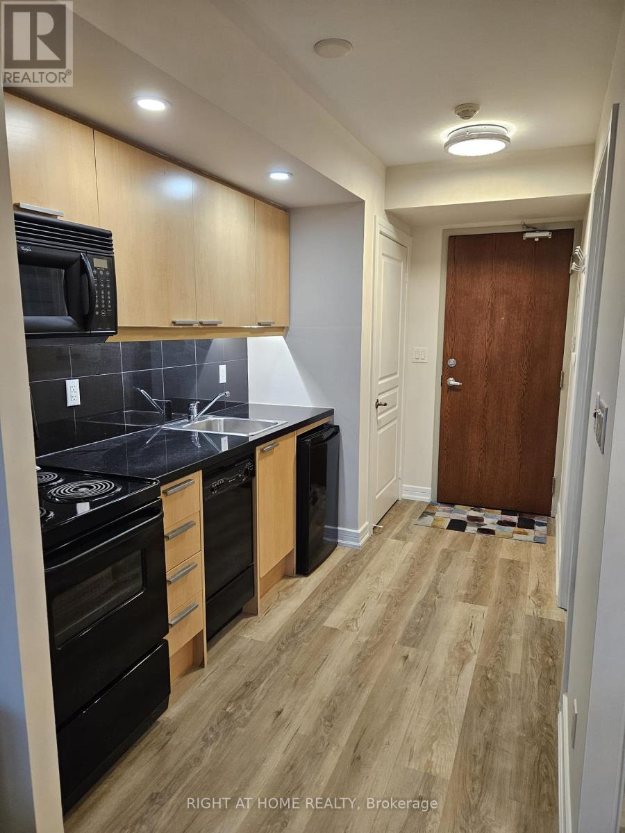 210 - 19 Avondale Avenue, Toronto, Ontario  M2N 0A6 - Photo 10 - C12497048