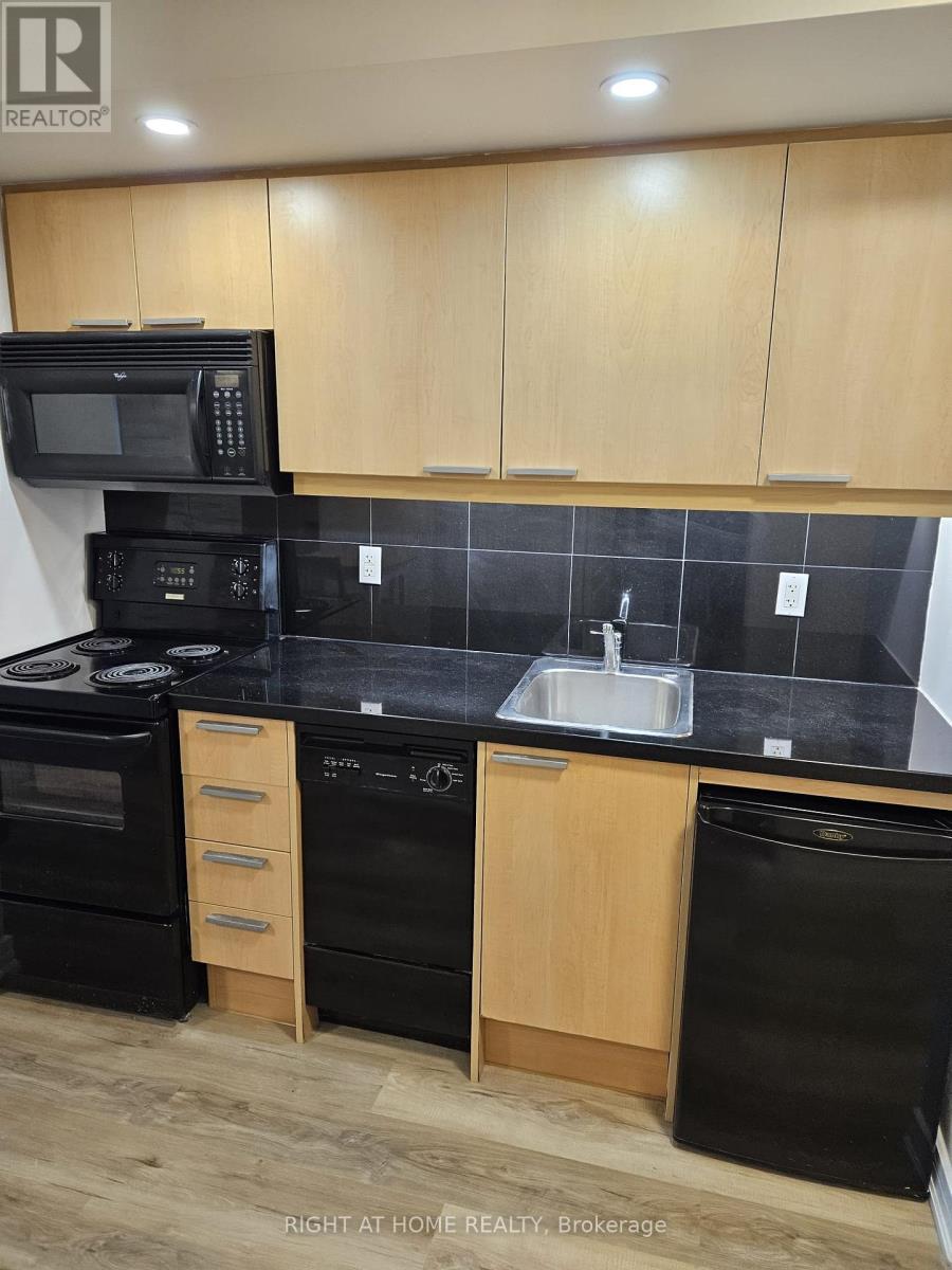 210 - 19 Avondale Avenue, Toronto, Ontario  M2N 0A6 - Photo 9 - C12497048