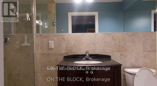 Basement - 23 Casa Grande Street, Richmond Hill, Ontario  L4S 1R3 - Photo 12 - N12497152