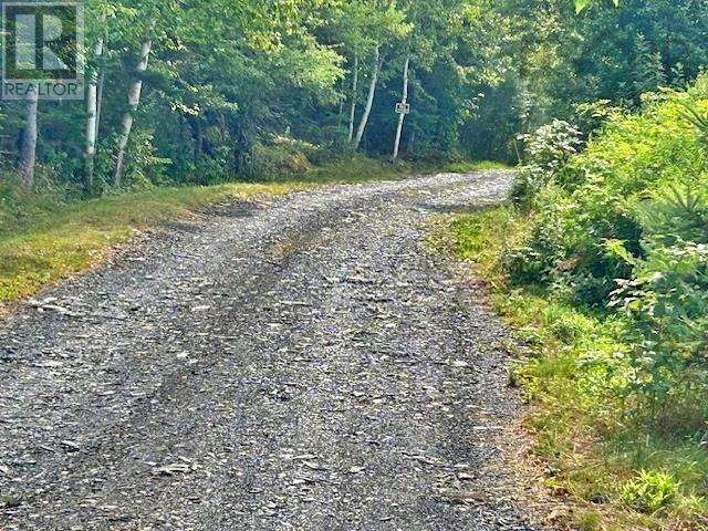 739 Feltzen South Road, Feltzen South, Nova Scotia  B0J 2X0 - Photo 23 - 202521384