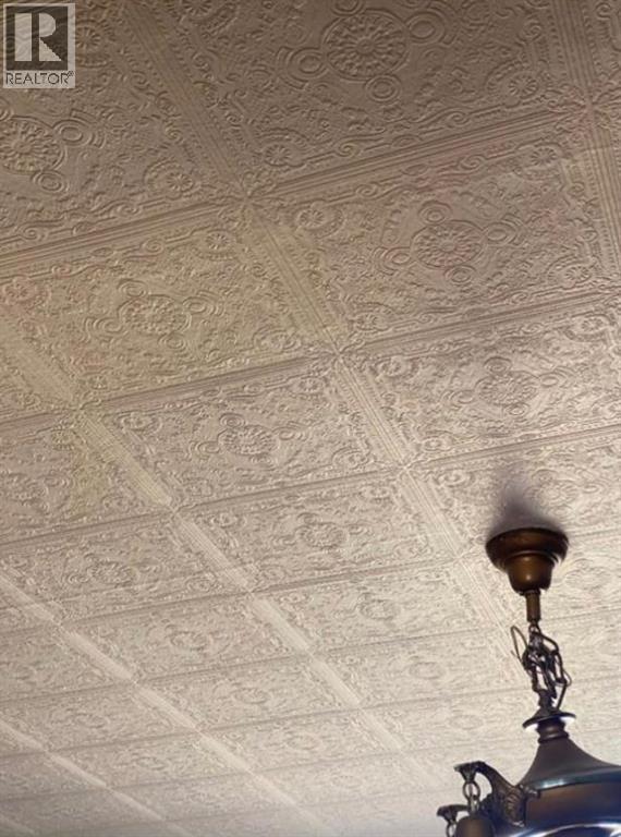 207 Vrolson Road, Bawlf, Alberta  T0B 0J0 - Photo 26 - A2267494