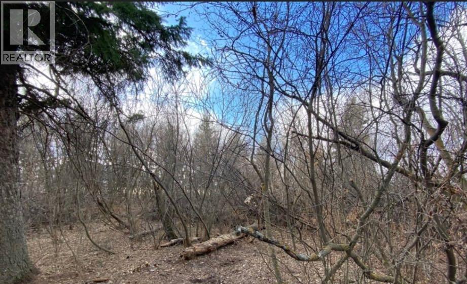 207 Vrolson Road, Bawlf, Alberta  T0B 0J0 - Photo 4 - A2267494