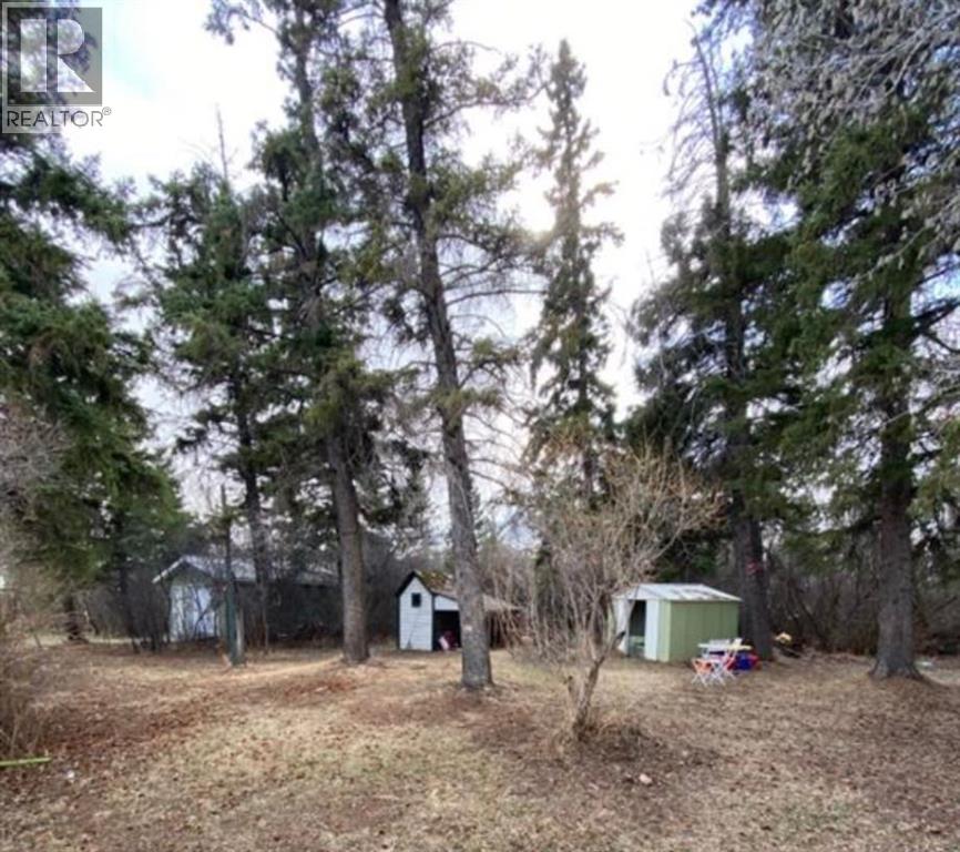 207 Vrolson Road, Bawlf, Alberta  T0B 0J0 - Photo 5 - A2267494