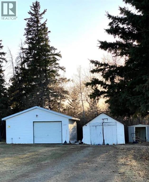 207 Vrolson Road, Bawlf, Alberta  T0B 0J0 - Photo 28 - A2267494