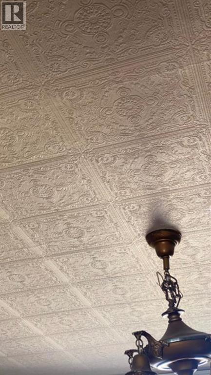 207 Vrolson Road, Bawlf, Alberta  T0B 0J0 - Photo 7 - A2267494