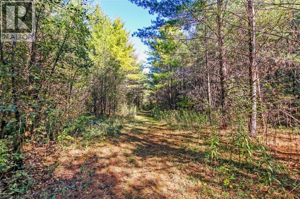 999 5 Concession W, Flamborough, Ontario  L9H 5E2 - Photo 41 - 40778644