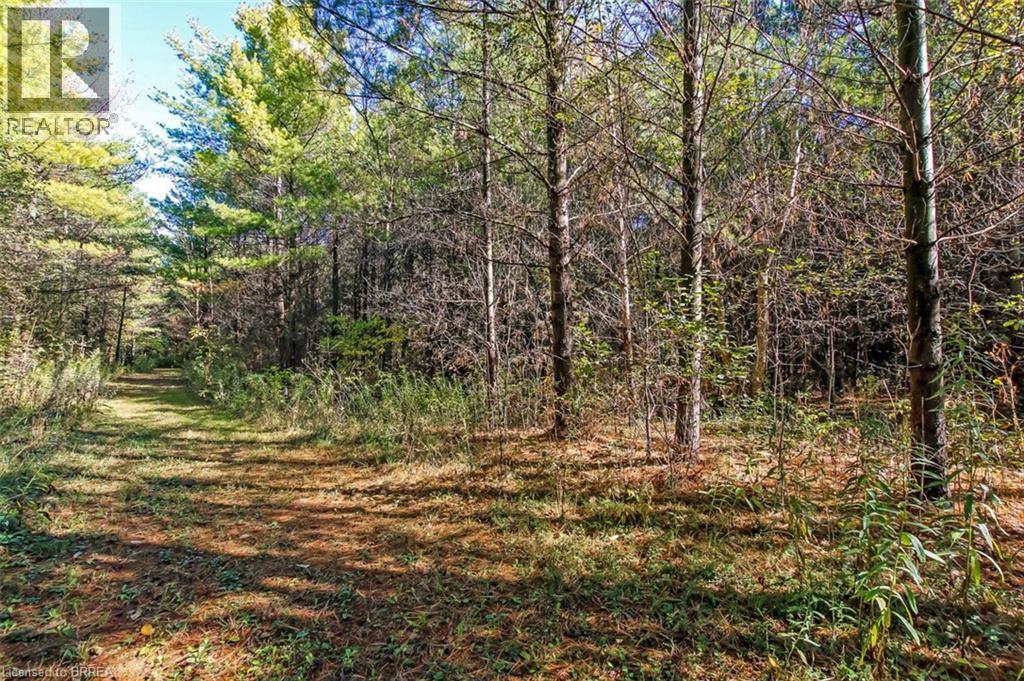 999 5 Concession W, Flamborough, Ontario  L9H 5E2 - Photo 42 - 40778644