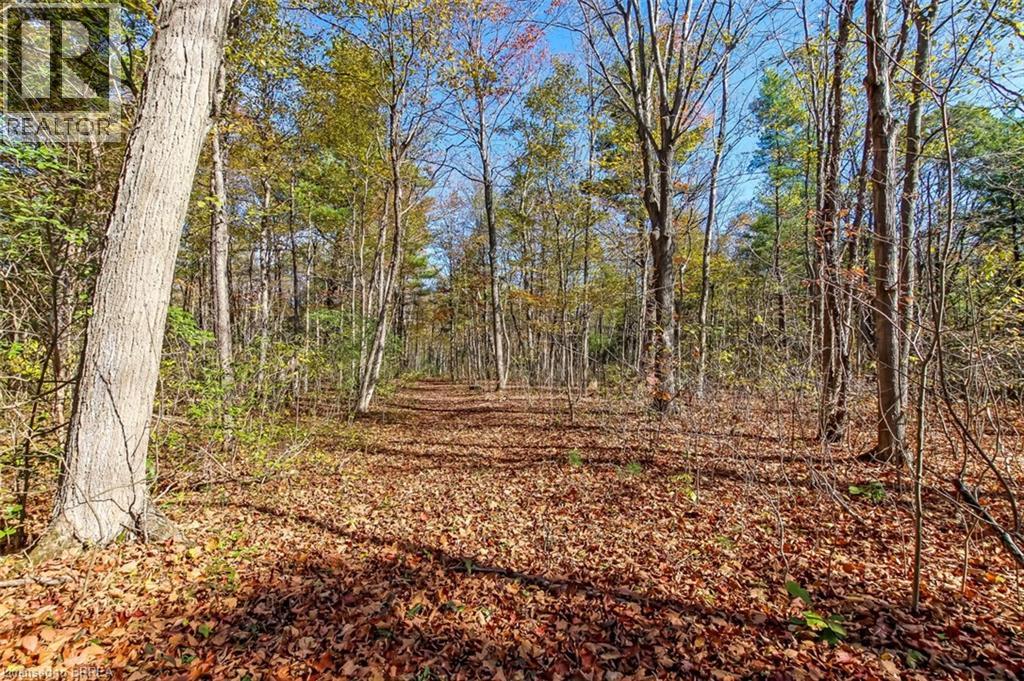 999 5 Concession W, Flamborough, Ontario  L9H 5E2 - Photo 43 - 40778644