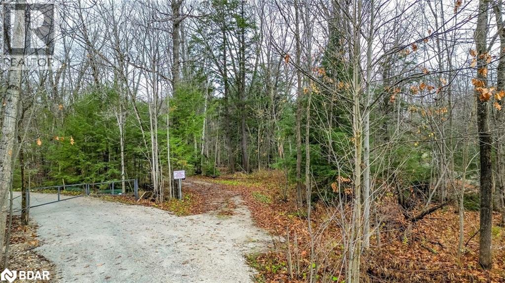 7012 County Road 169, Ramara, Ontario  L0K 2B0 - Photo 3 - 40744761