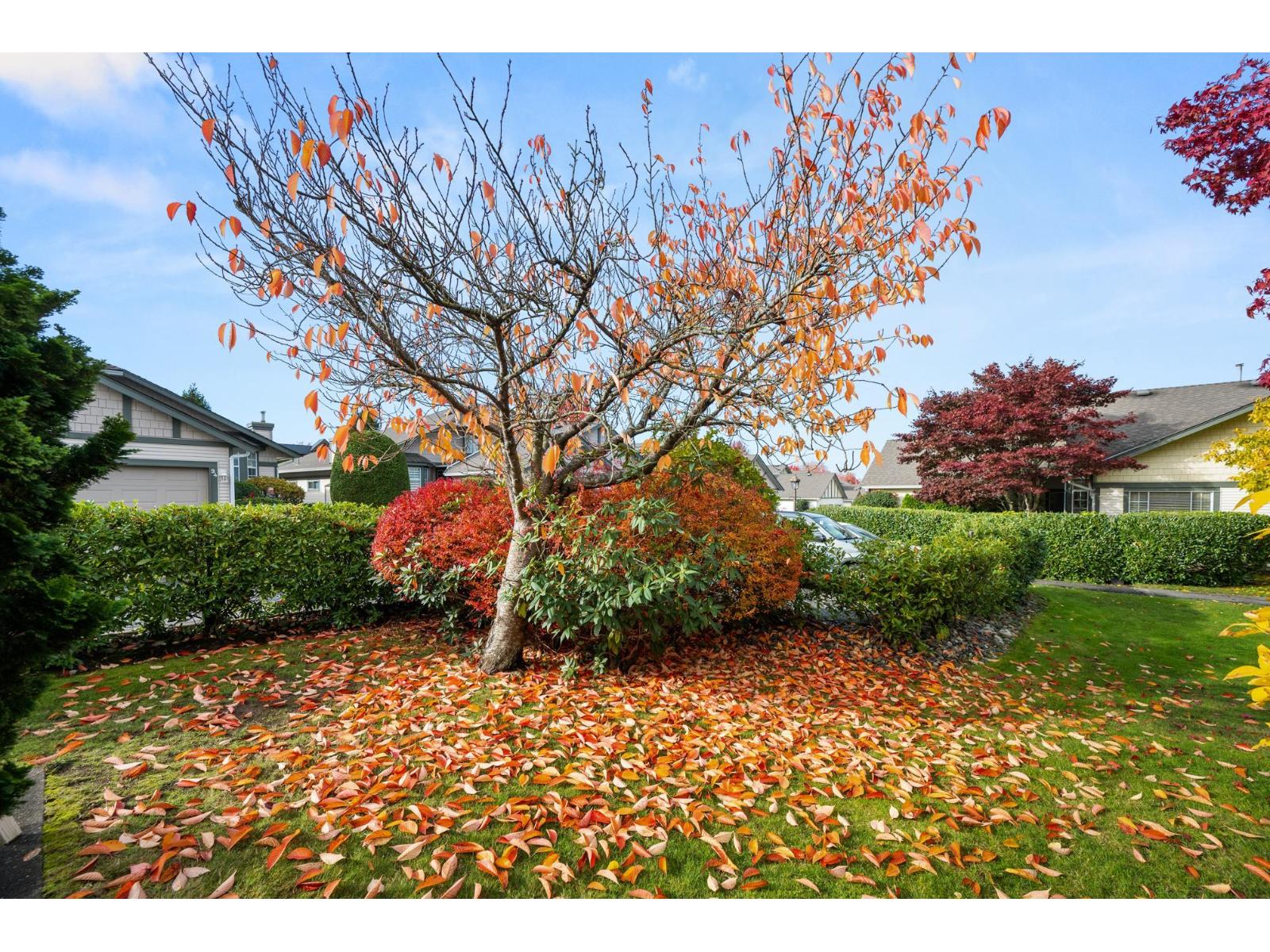 79 9012 Walnut Grove Drive, Langley, British Columbia  V1M 2K3 - Photo 31 - R3063563