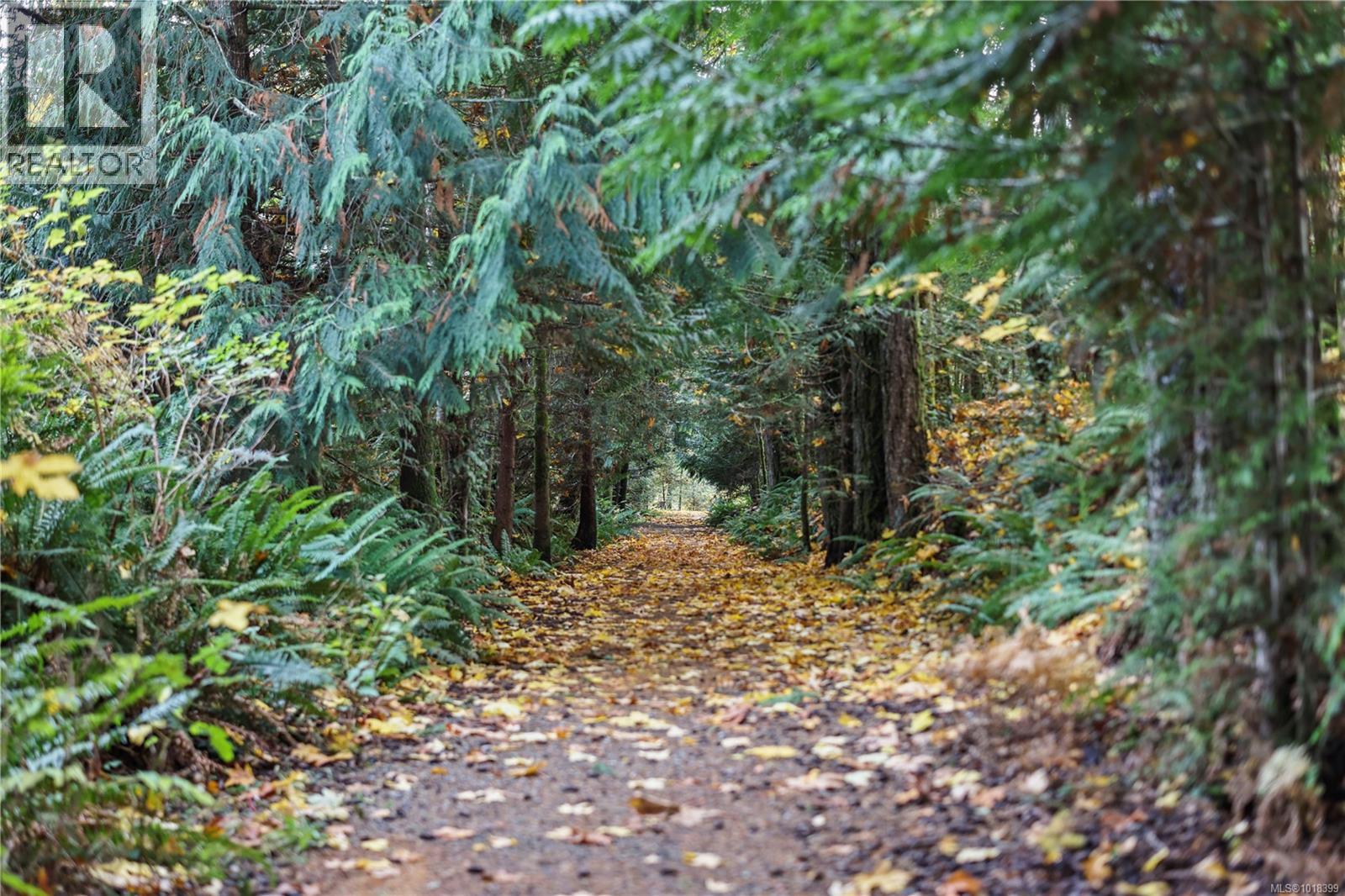 3454 Waterfern Dr, Port Alberni, British Columbia  V9Y 0A4 - Photo 75 - 1018399