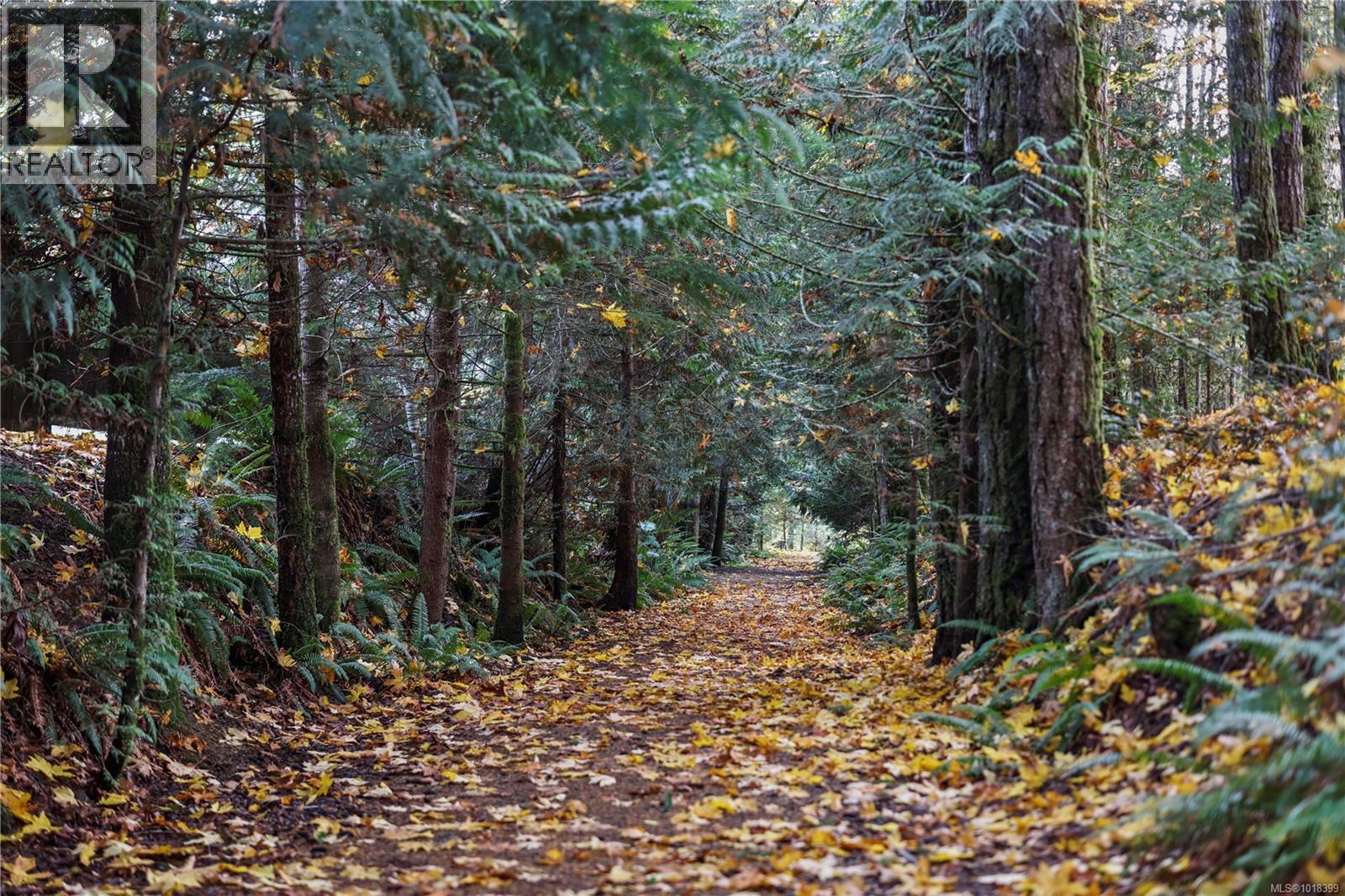 3454 Waterfern Dr, Port Alberni, British Columbia  V9Y 0A4 - Photo 76 - 1018399