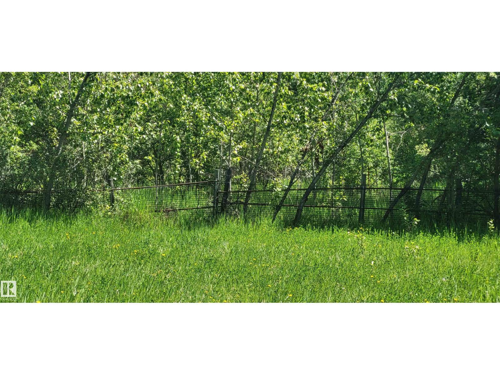 Twp 491 Range Road 73, Rural Brazeau County, Alberta  T7A 2A2 - Photo 4 - E4464263