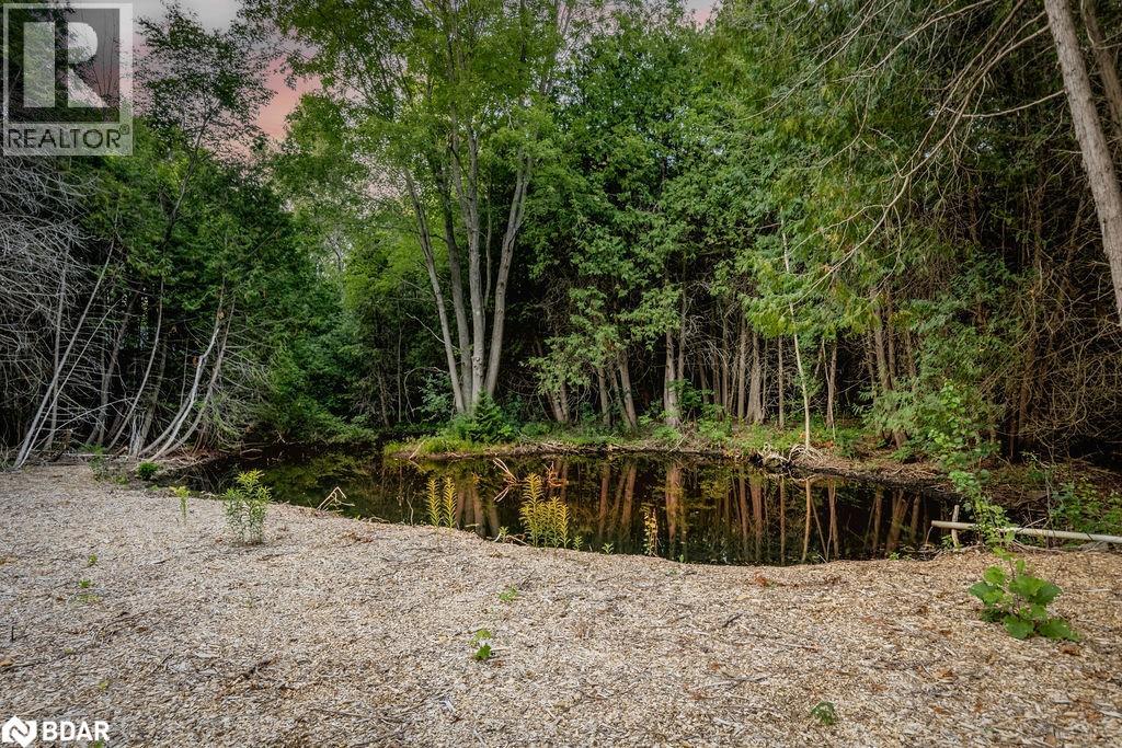 16245 7th Concession Road, King, Ontario  L7B 0E1 - Photo 34 - 40764311