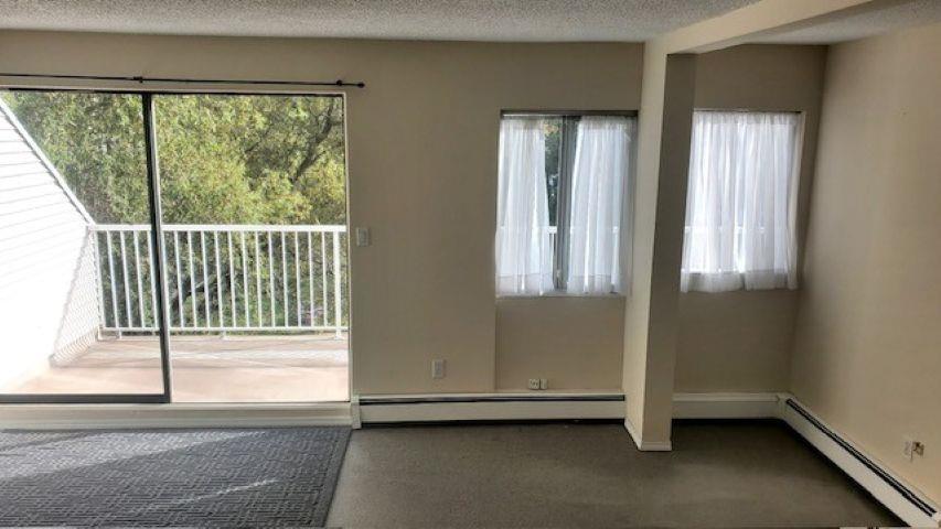 43 17706 60 Avenue, Surrey, British Columbia  V3S 1V2 - Photo 13 - R3062221