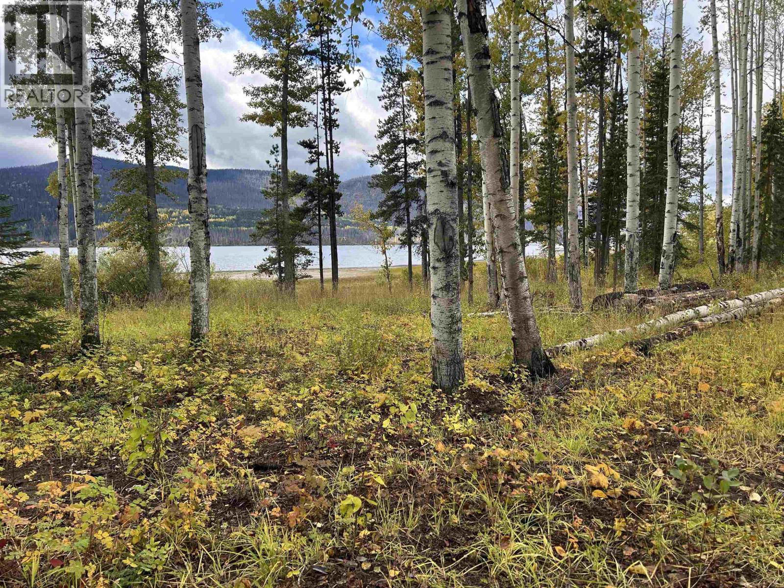 Lot 23 Leo Creek Road, Fort St. James, British Columbia  V0J 1P0 - Photo 2 - R3063692