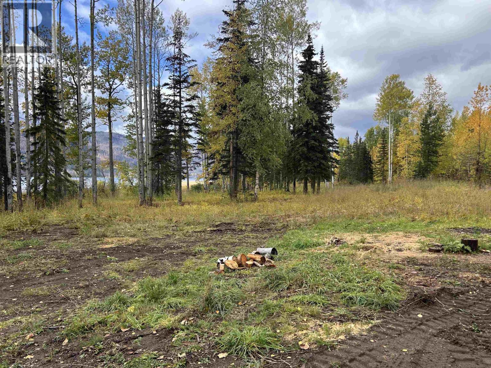 Lot 23 Leo Creek Road, Fort St. James, British Columbia  V0J 1P0 - Photo 3 - R3063692