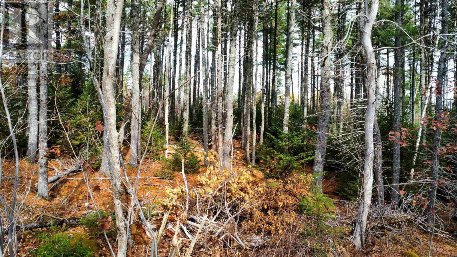 Lot Highway 10, New Albany, Nova Scotia  B0S 1P0 - Photo 2 - 202526847