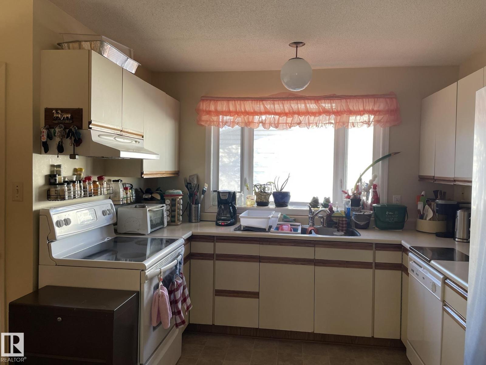 4327 114a St Nw, Edmonton, Alberta  T6J 1N6 - Photo 6 - E4464272