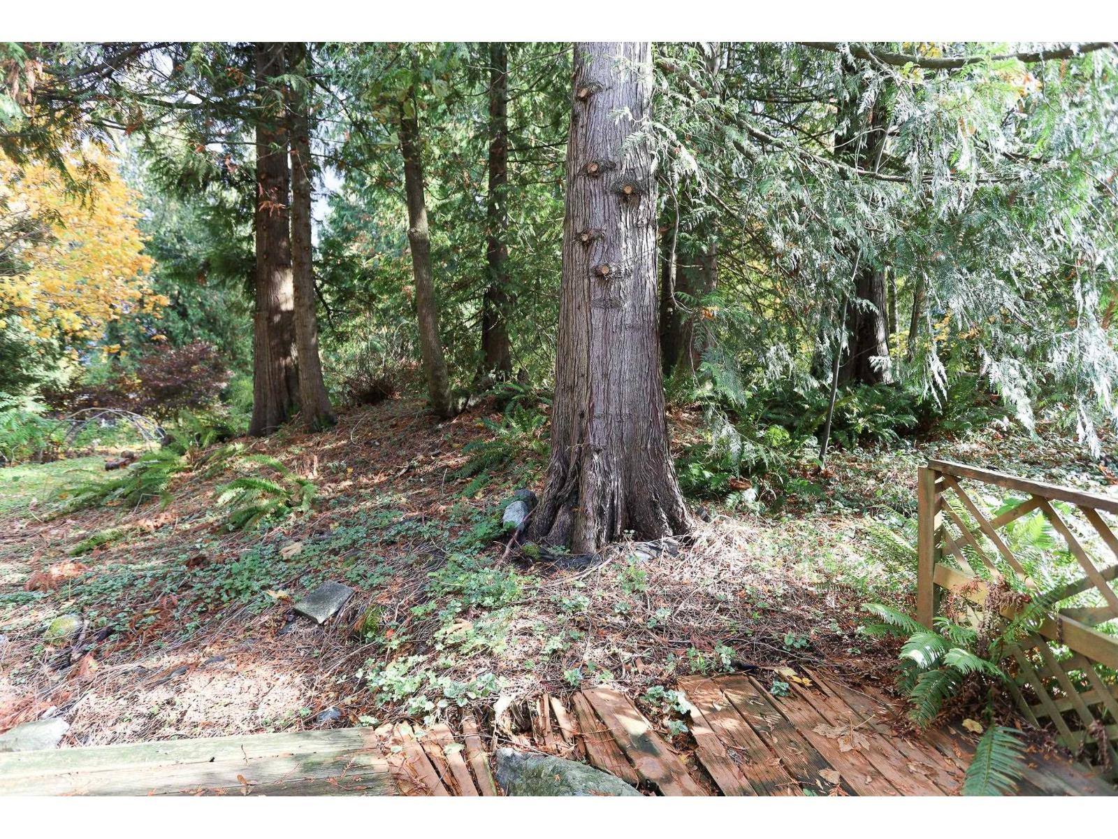 52975 Yale Road, Popkum, Rosedale, British Columbia  V0X 1X1 - Photo 15 - R3063469