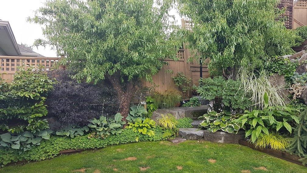 33775 Grewall Crescent, Mission, British Columbia  V2V 7B7 - Photo 36 - R3061707