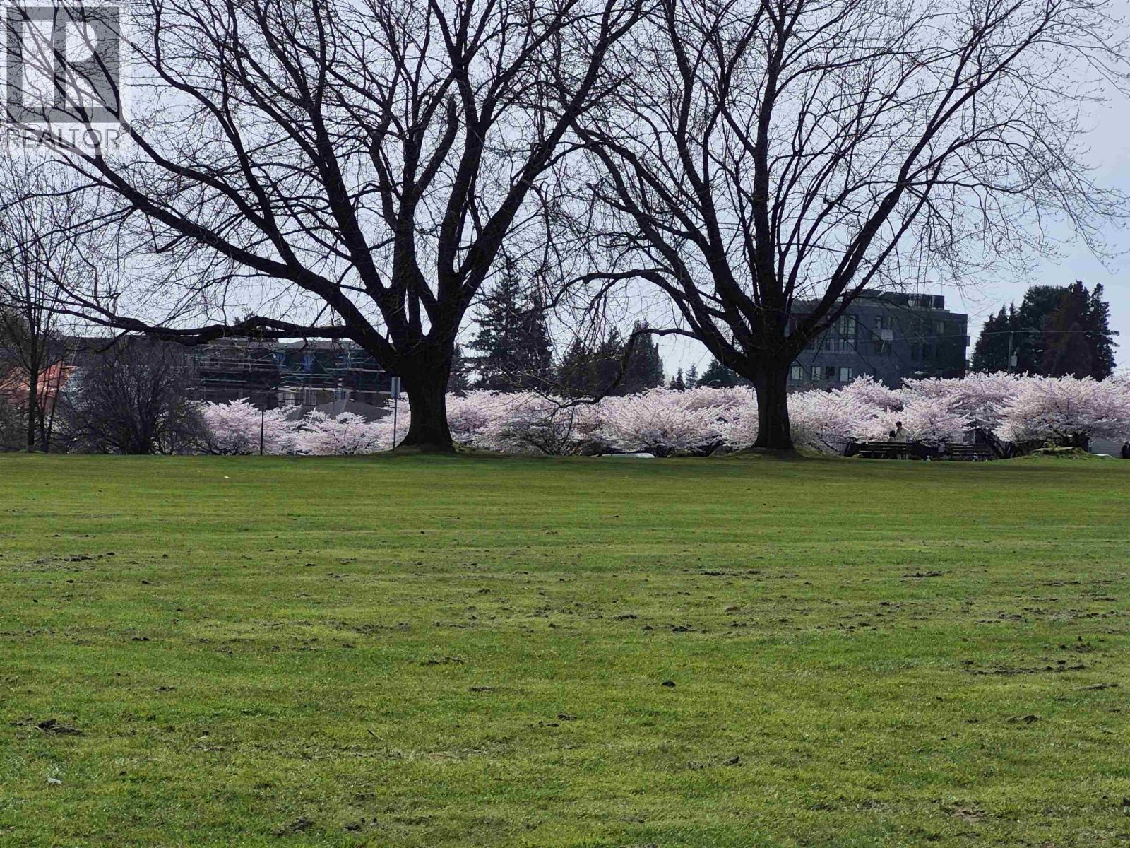 204 375 W 59TH AVENUE, vancouver, British Columbia