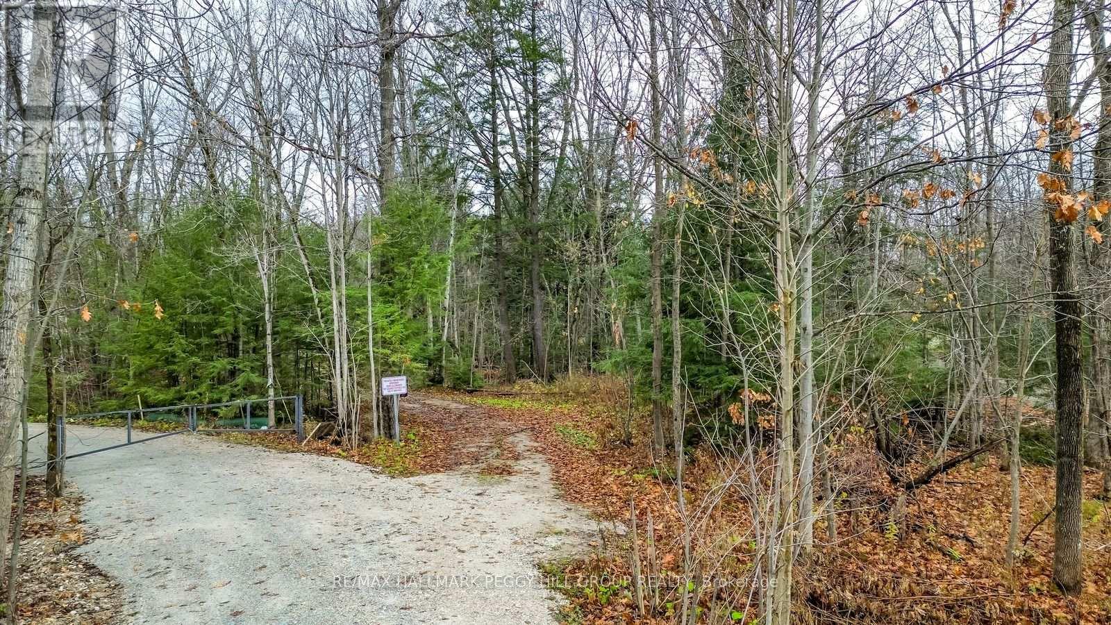 7012 County Road 169, Ramara, Ontario  L0K 2B0 - Photo 3 - S12242577