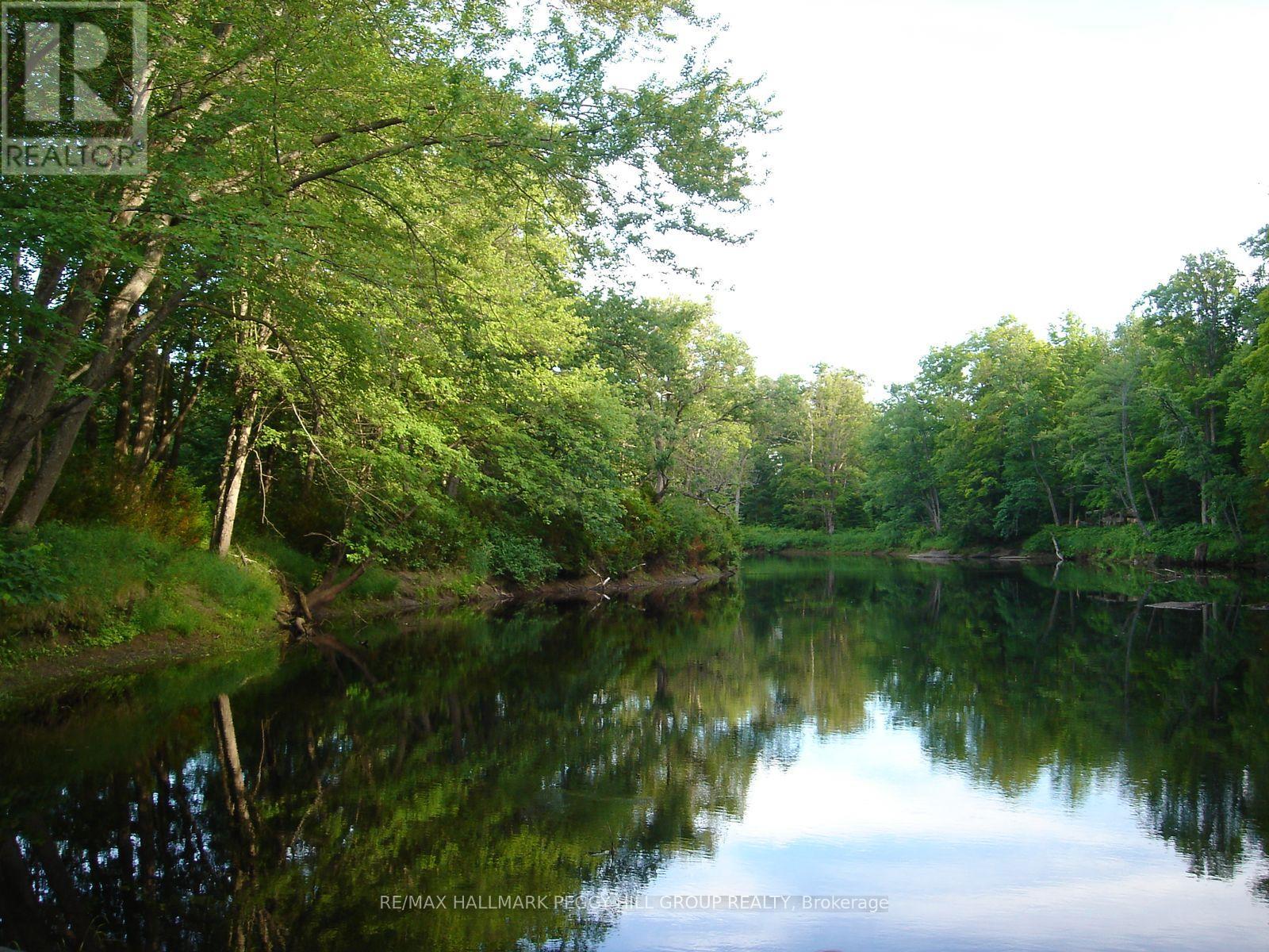 7012 County Road 169, Ramara, Ontario  L0K 2B0 - Photo 7 - S12242577
