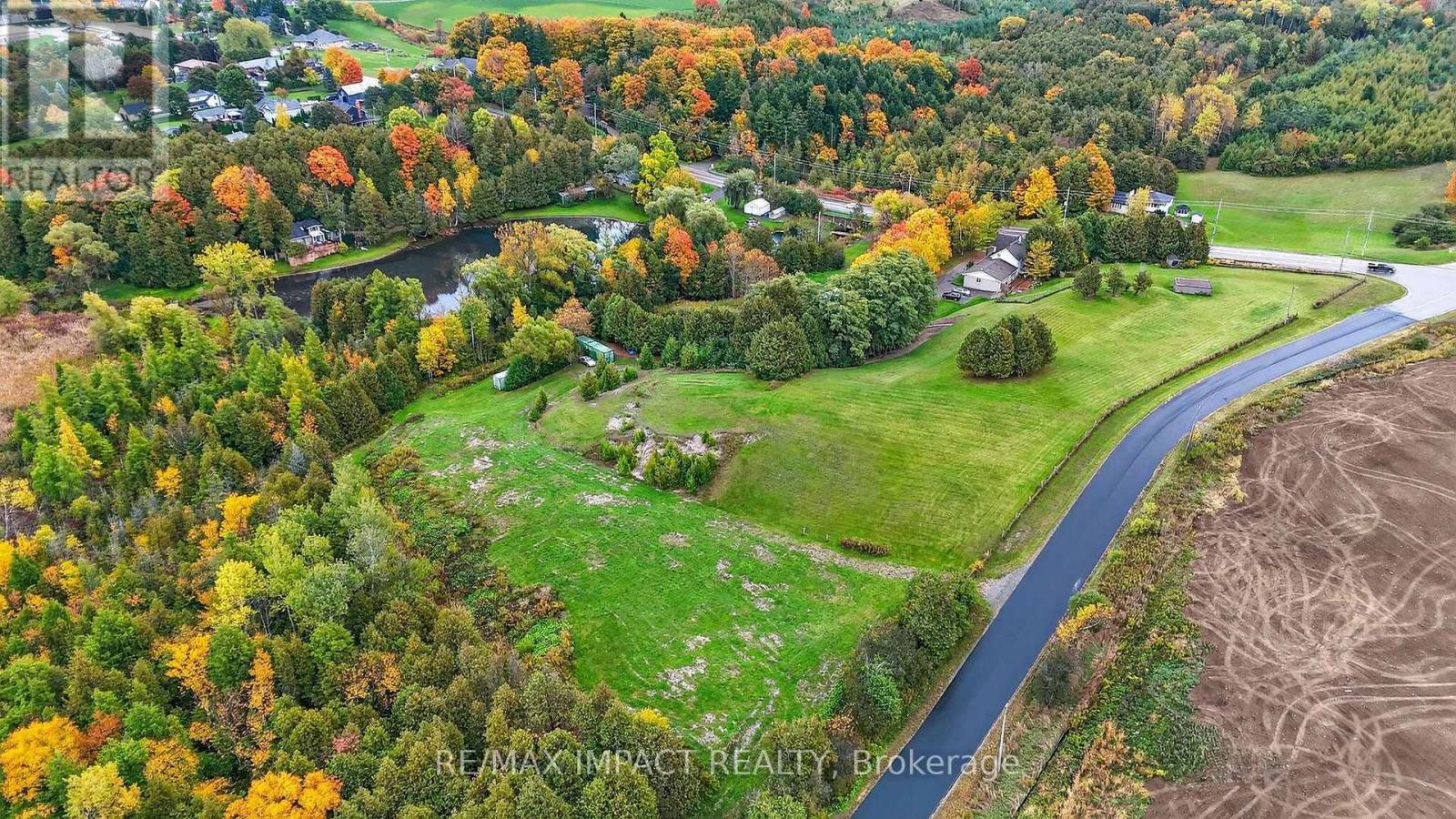 272 Raglan Road W, Oshawa, Ontario  L1H 0N3 - Photo 3 - E12497458