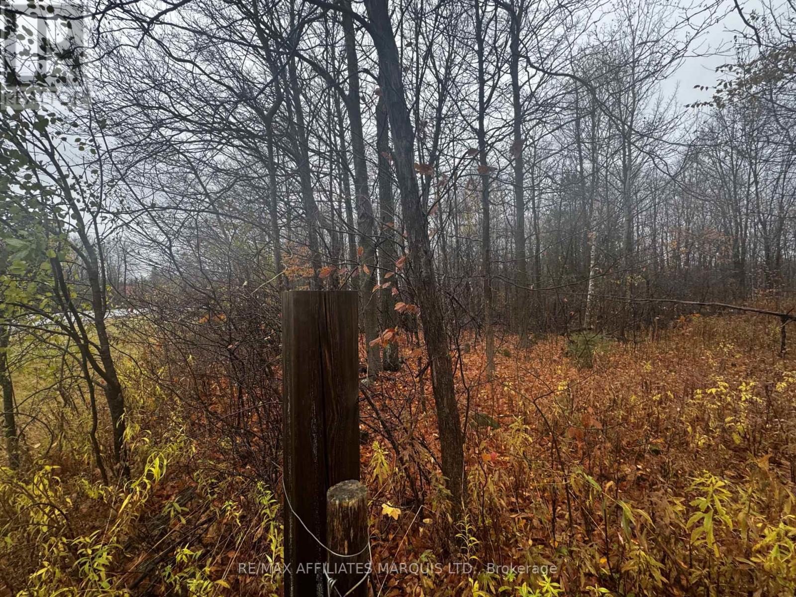 Lot County Road 43 Road, North Glengarry, Ontario  K0C 1A0 - Photo 4 - X12497684