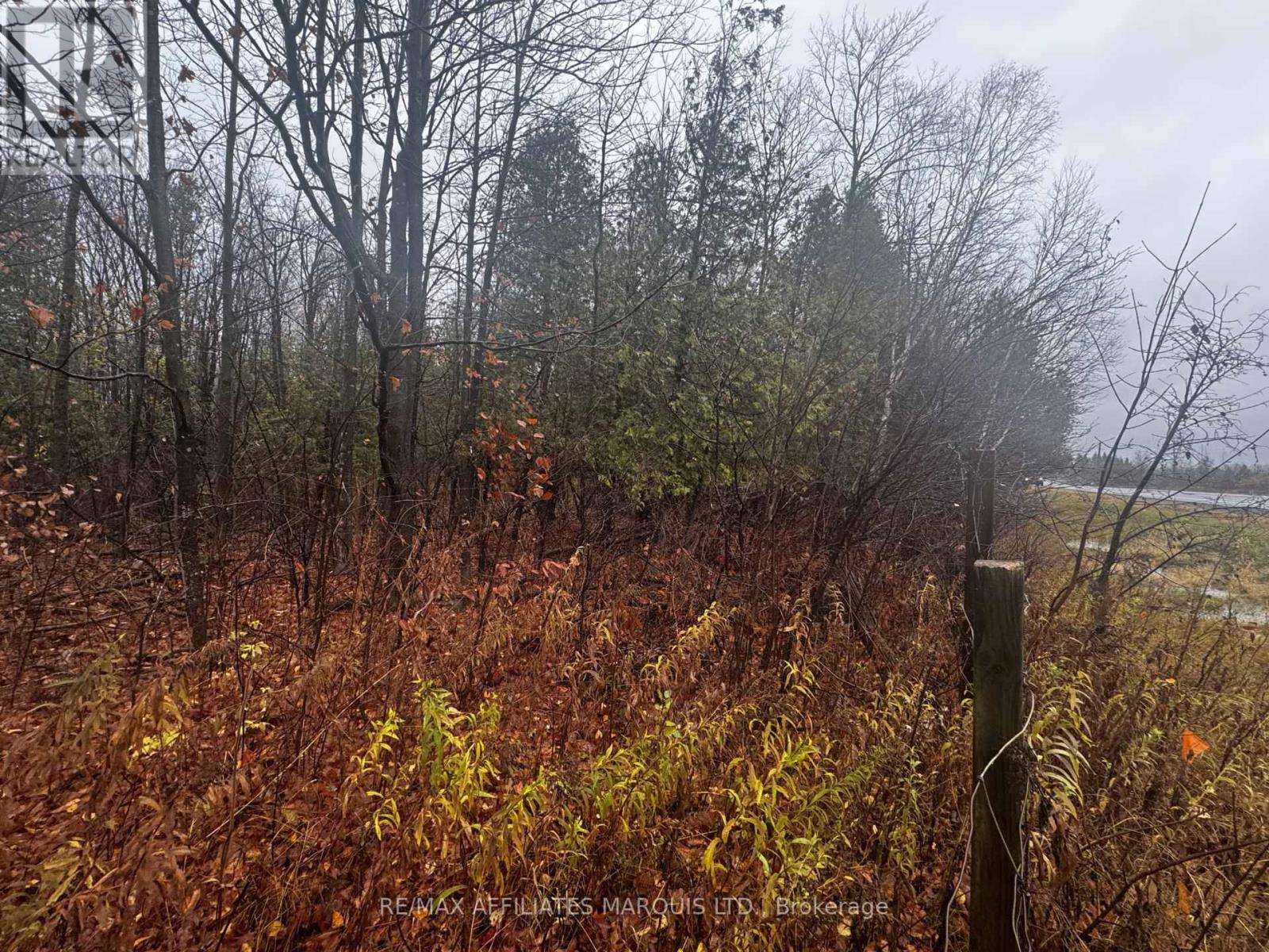 Lot County Road 43 Road, North Glengarry, Ontario  K0C 1A0 - Photo 5 - X12497684