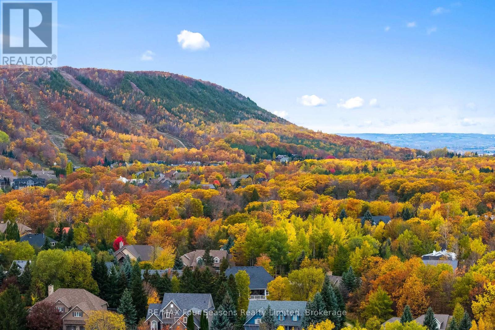 149 Aspen Way, Blue Mountains, Ontario  L9Y 0S7 - Photo 49 - X12497704