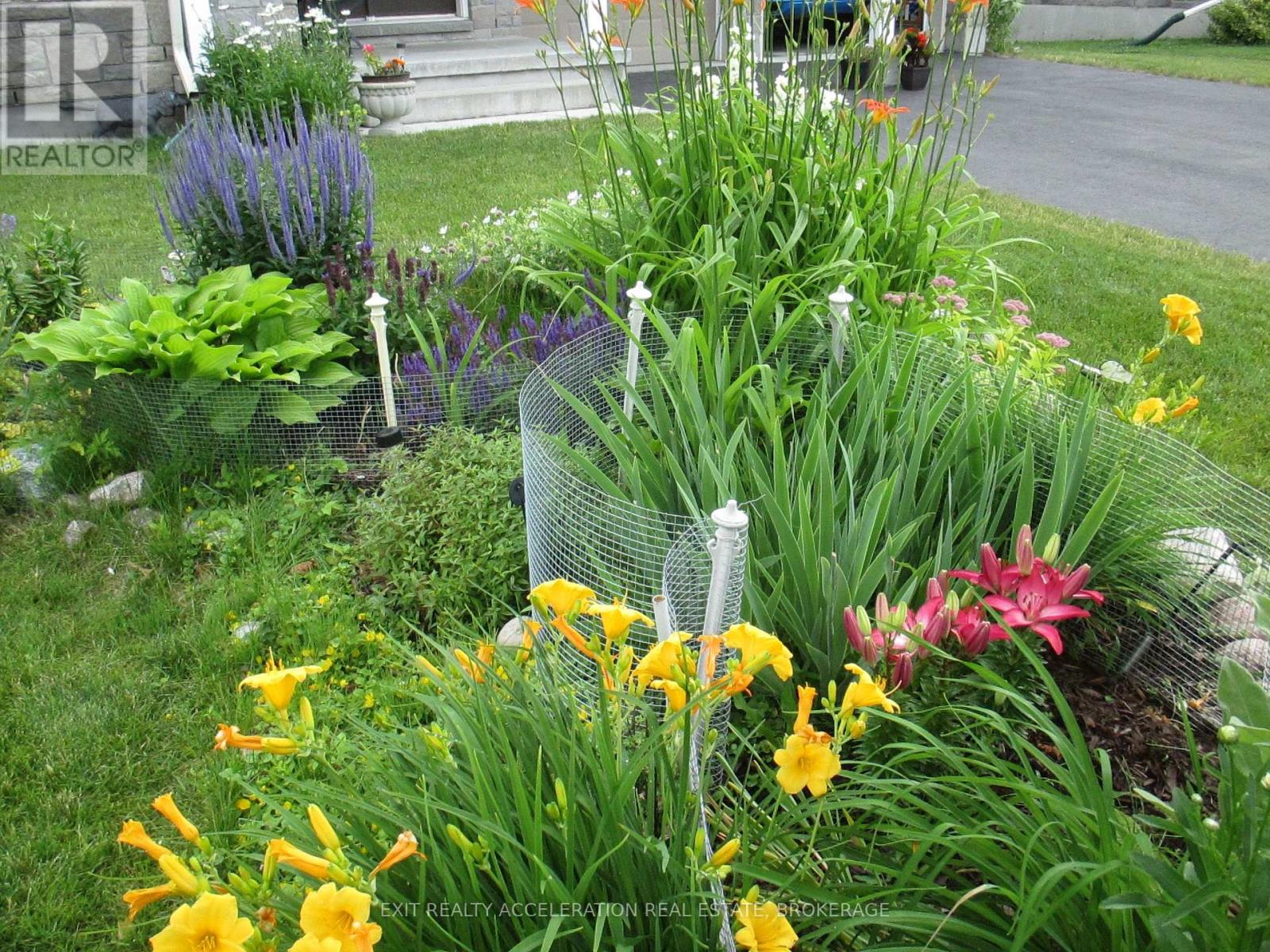 113 Country Club Drive, Loyalist (Bath), Ontario  K0H 1G0 - Photo 5 - X12497516