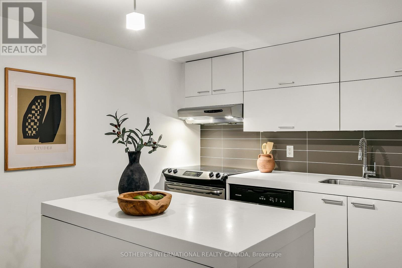 113 - 55 Stewart Street, Toronto, Ontario  M5V 2V1 - Photo 16 - C12497474