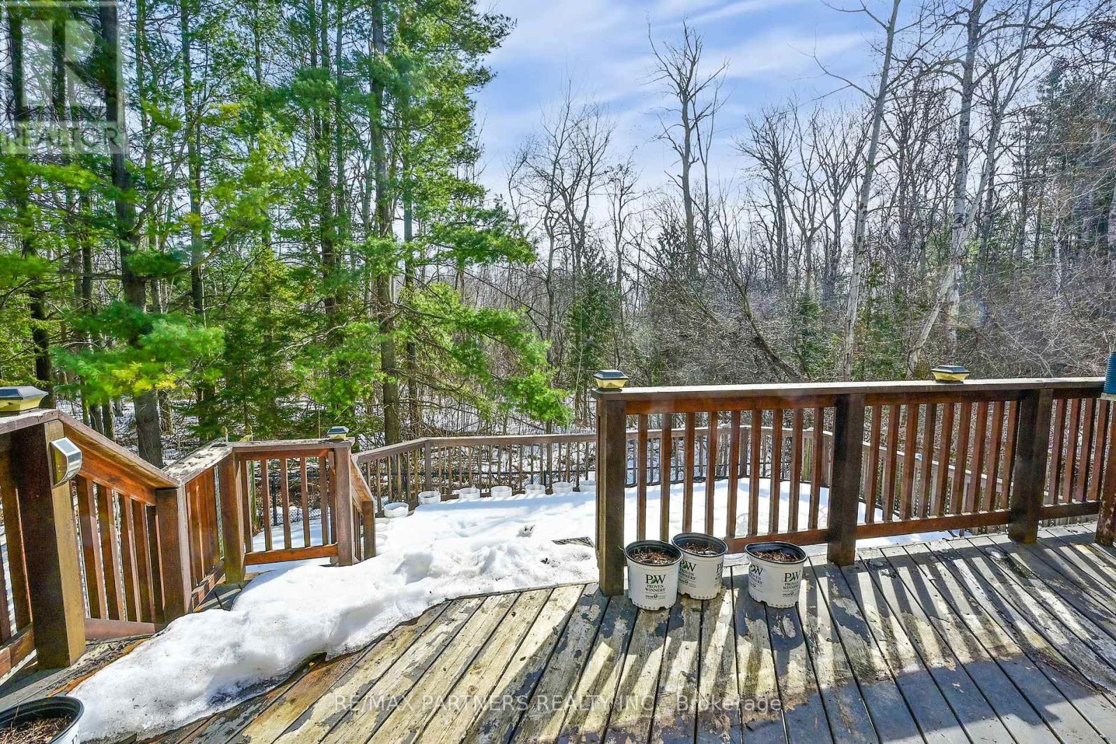 107 Worthington Avenue, Richmond Hill (Oak Ridges Lake Wilcox), Ontario  L4E 3Z6 - Photo 44 - N12497662