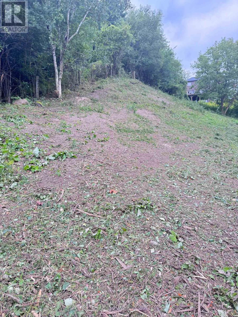 119 Stemmle Drive, Aurora, Ontario  L4G 6N8 - Photo 8 - N12344086