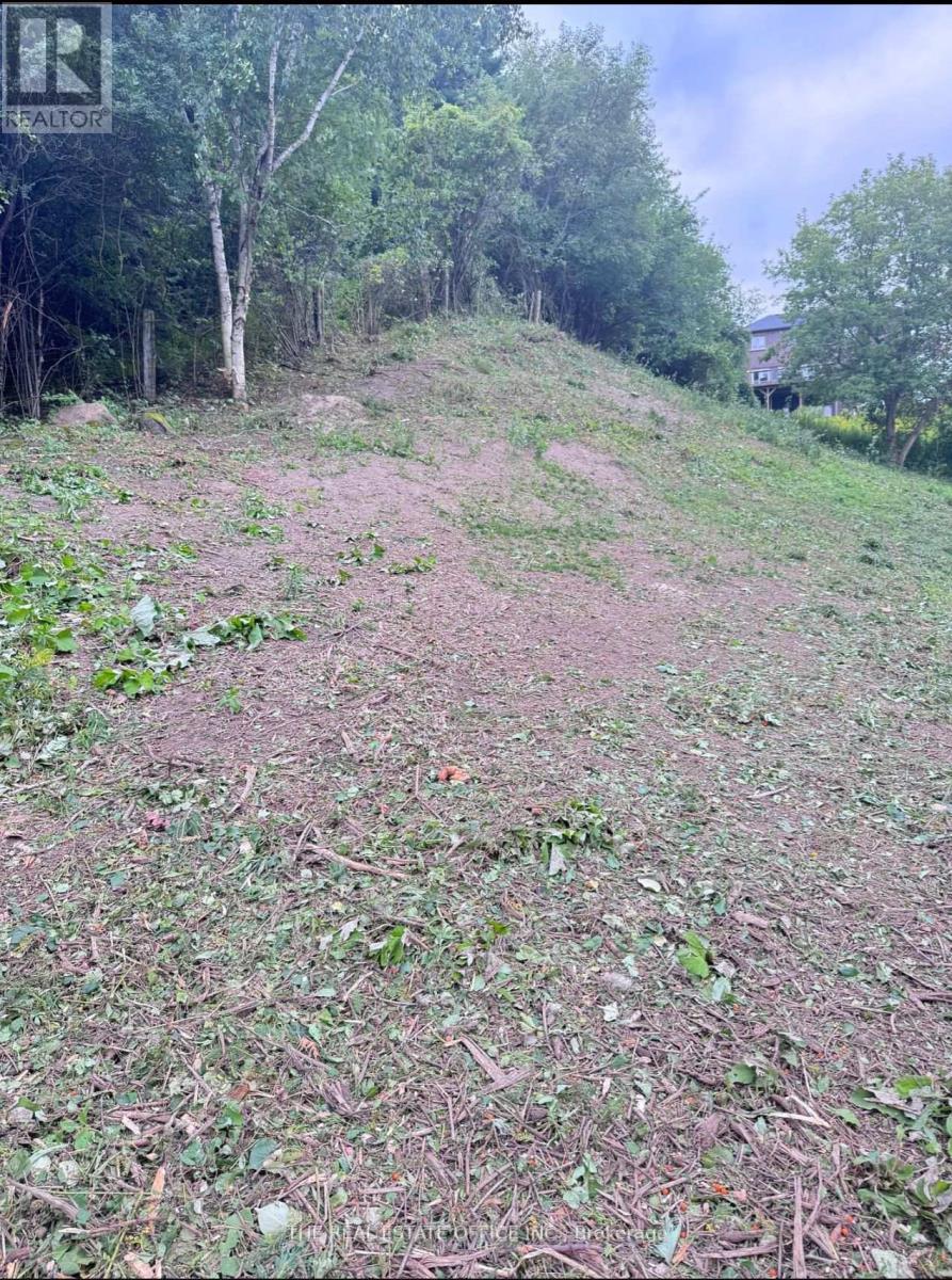 119 Stemmle Drive, Aurora (Aurora Highlands), Ontario  L4G 6N8 - Photo 2 - N12498208