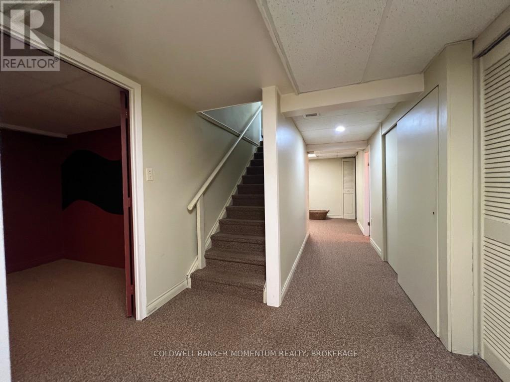 3834 Victoria Avenue, Lincoln, Ontario  L0R 2C0 - Photo 22 - X12494752