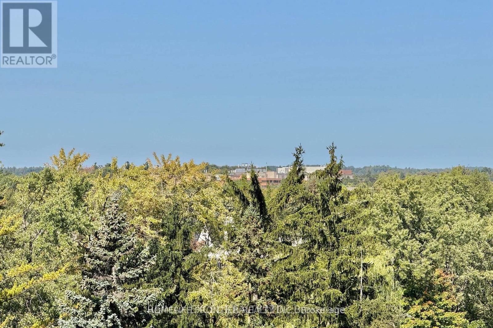 606 - 9600 Yonge Street, Richmond Hill, Ontario  L4C 0X3 - Photo 32 - N12498138