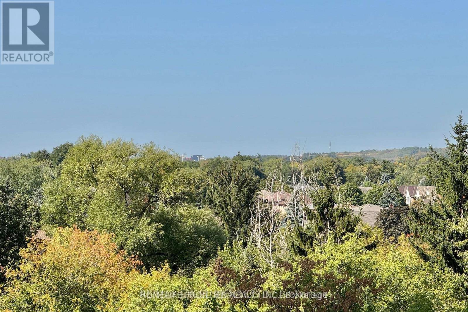 606 - 9600 Yonge Street, Richmond Hill, Ontario  L4C 0X3 - Photo 33 - N12498138