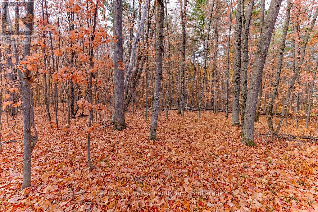 0 Rocky Point Drive, Bonnechere Valley, Ontario  K0J 1X0 - Photo 1 - X12498298