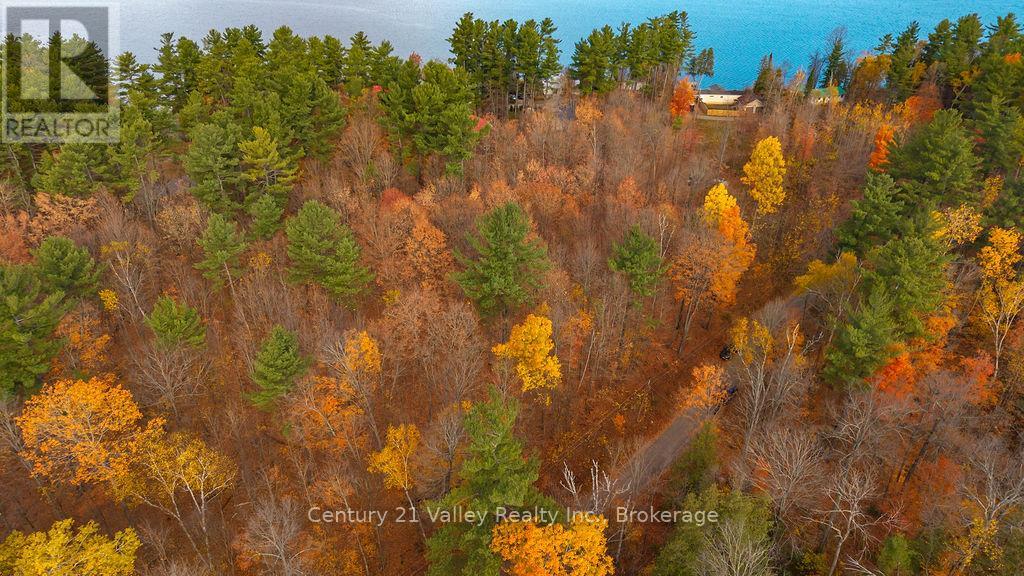 0 Rocky Point Drive, Bonnechere Valley, Ontario  K0J 1X0 - Photo 11 - X12498298