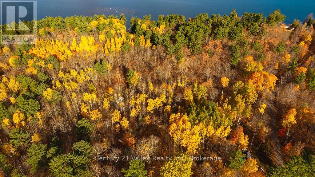 0 Rocky Point Drive, Bonnechere Valley, Ontario  K0J 1X0 - Photo 19 - X12498298
