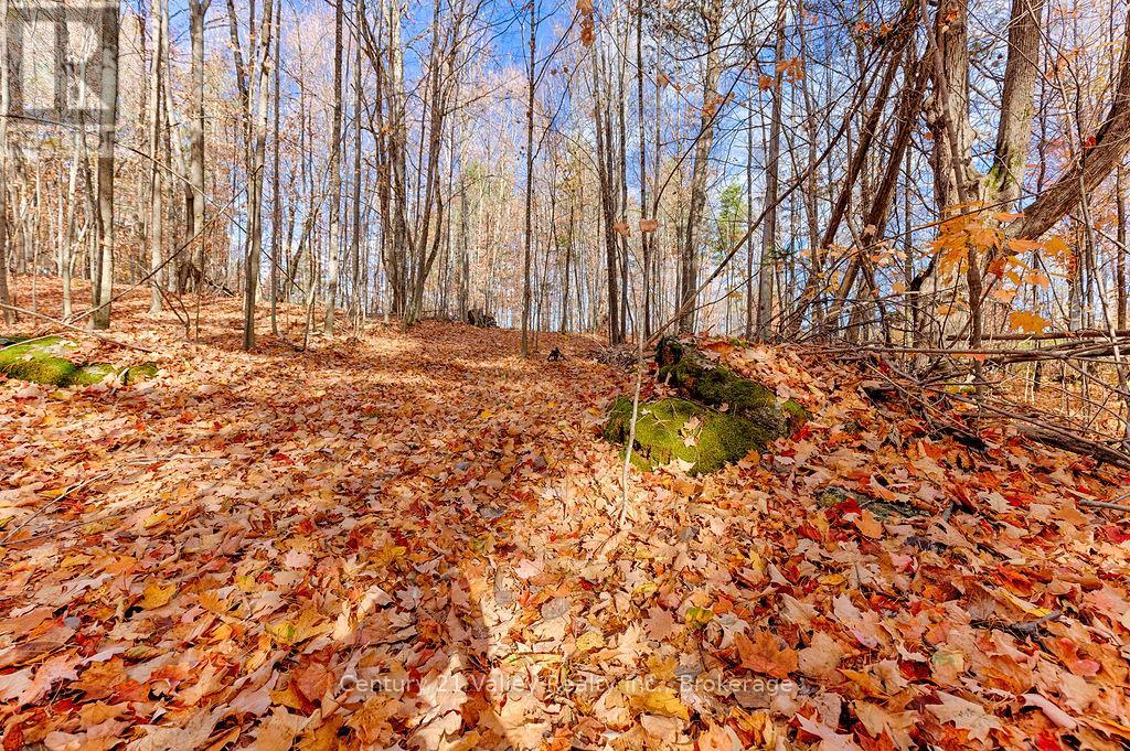 0 Rocky Point Drive, Bonnechere Valley, Ontario  K0J 1X0 - Photo 3 - X12498298