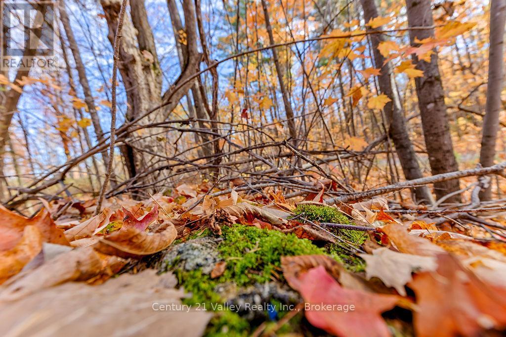 0 Rocky Point Drive, Bonnechere Valley, Ontario  K0J 1X0 - Photo 4 - X12498298