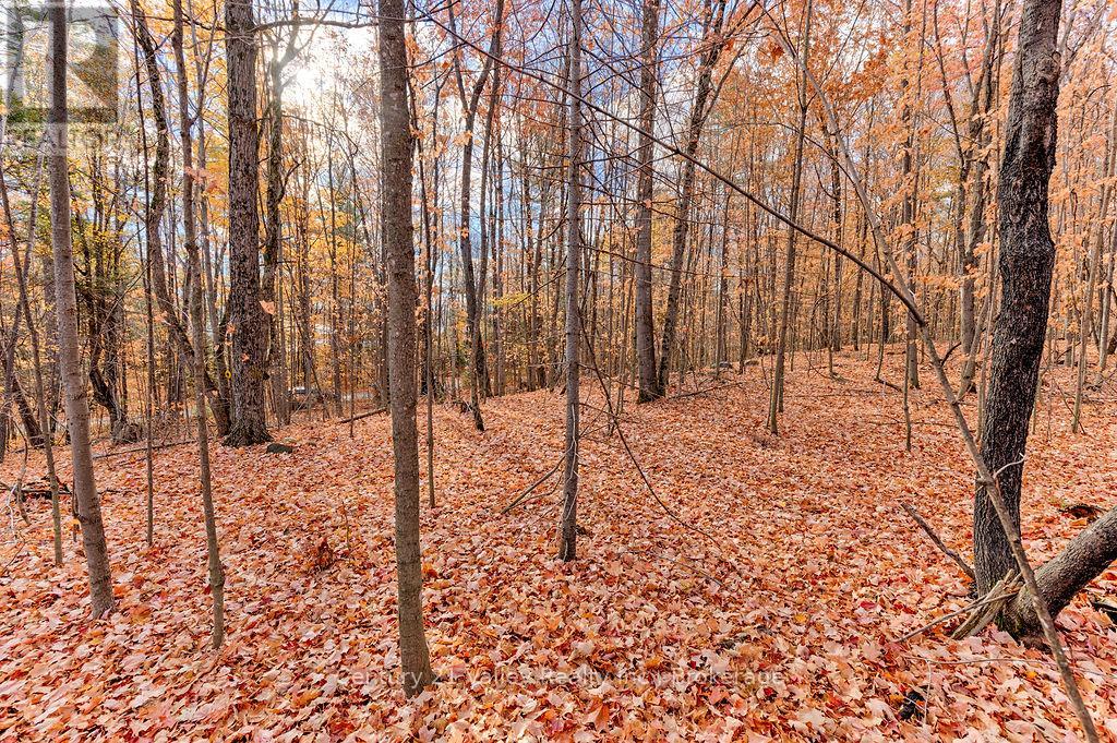 0 Rocky Point Drive, Bonnechere Valley, Ontario  K0J 1X0 - Photo 5 - X12498298