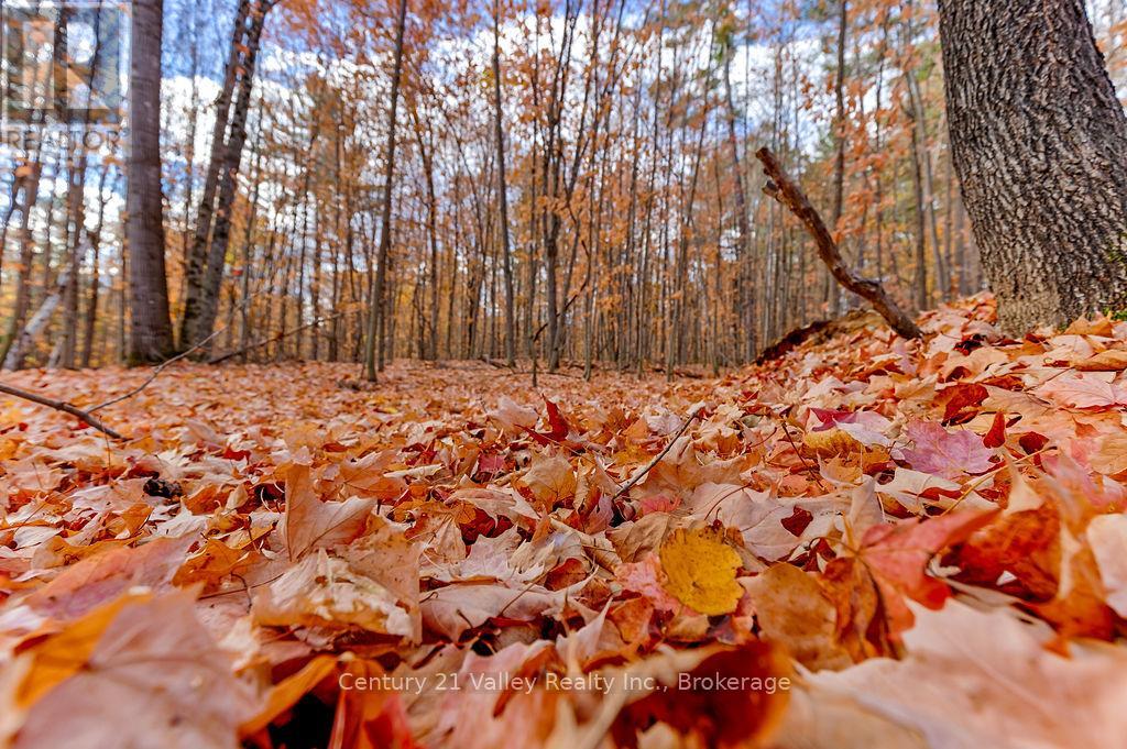 0 Rocky Point Drive, Bonnechere Valley, Ontario  K0J 1X0 - Photo 6 - X12498298