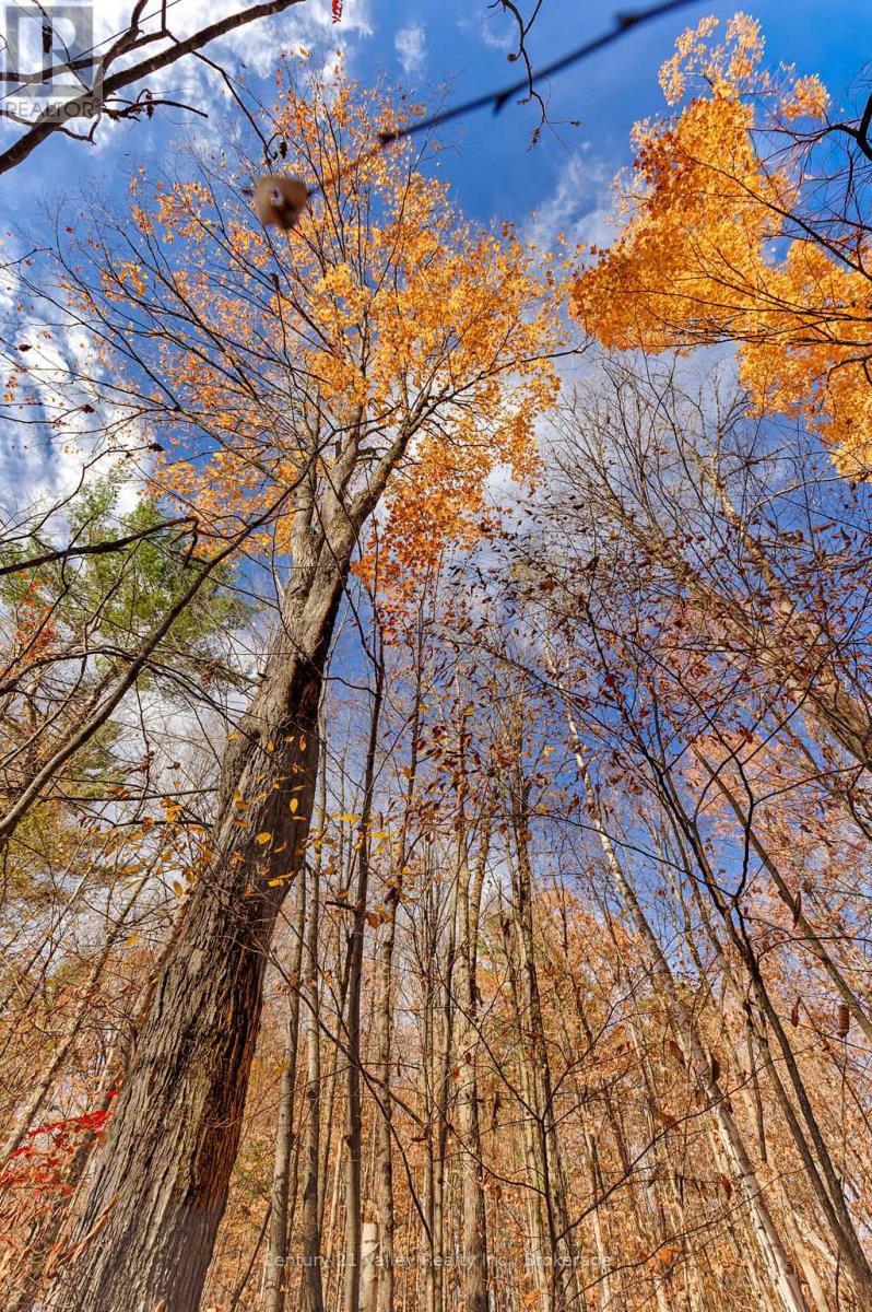 0 Rocky Point Drive, Bonnechere Valley, Ontario  K0J 1X0 - Photo 8 - X12498298
